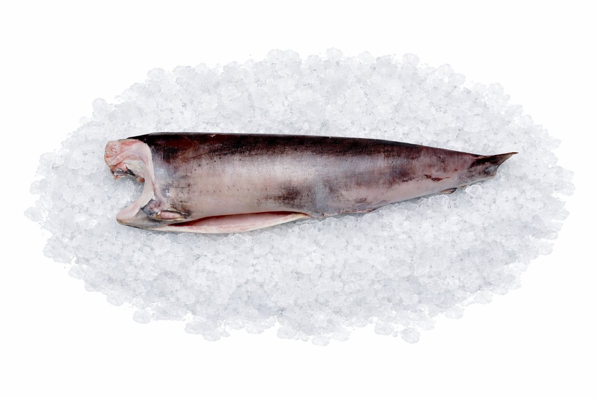 Swordfish H/G